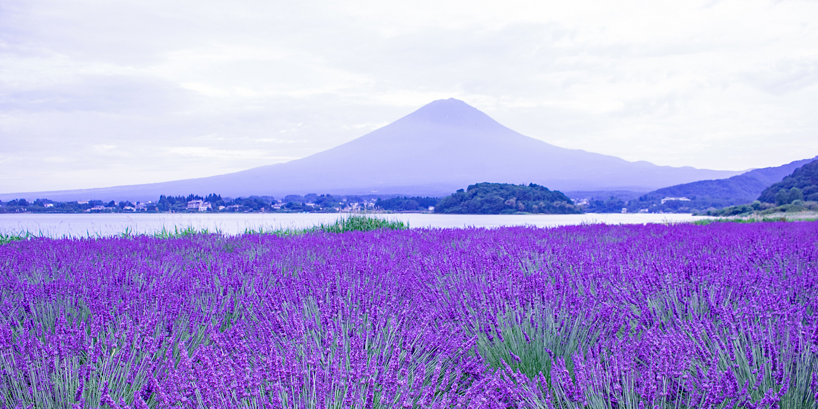 河口湖温泉協同旅館組合